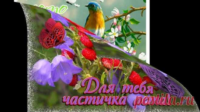 ЛЕТО-это маленькая жизнь!