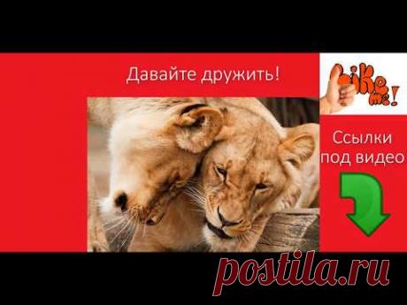 Как добавить в Друзья в Liveinternet  и стать постоянным читателем Как вступить в сообщество