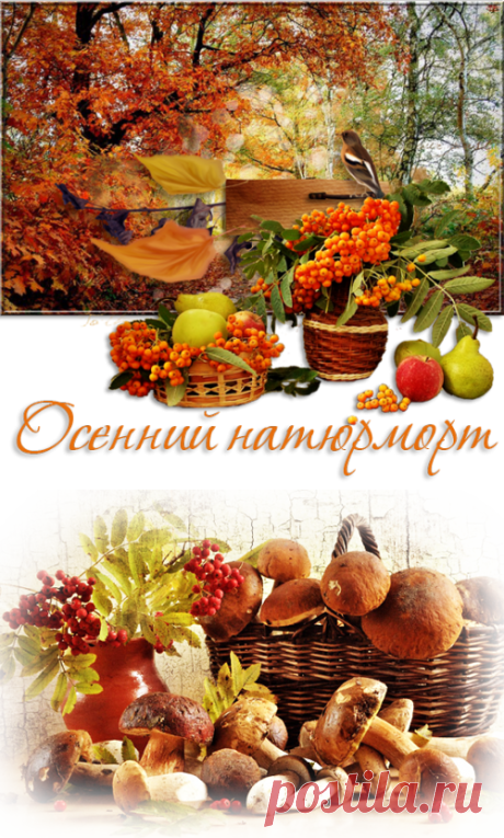 Плейкаст «✿ Осенний натюрморт – поэзия души ✿»