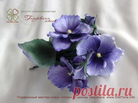 tanjobana.ru/action/preparation-free-viola