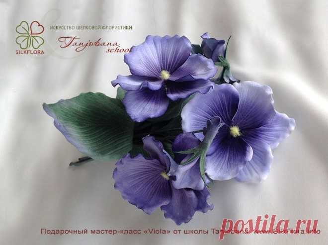 tanjobana.ru/action/preparation-free-viola