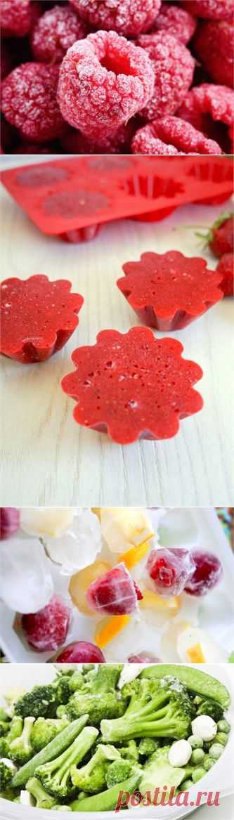 8 секретов замораживания овощей, фруктов и ягод | Огород без хлопот