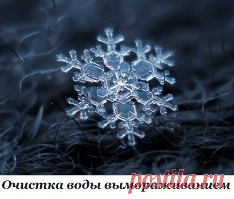 При наличии даже самых замечательных фильтров не следует забывать о великолепном способе очистки воды - вымораживании.
