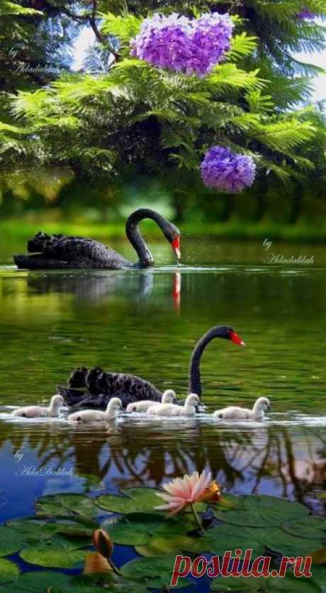 (87) Facebook