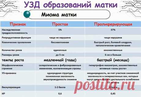 Ультразвуковая диагностика в гинекологии в соответствии с клиническими рекомендациями. Лекция для врачей