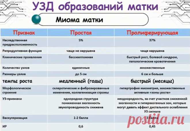 Ультразвуковая диагностика в гинекологии в соответствии с клиническими рекомендациями. Лекция для врачей