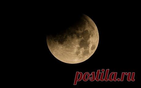 Жители планеты в ноябре увидят частное затмение Луны и пик звездопада Леониды | Читать новостные события за неделю – новости последних событий в мире и России в интернет-издании «Вестник»