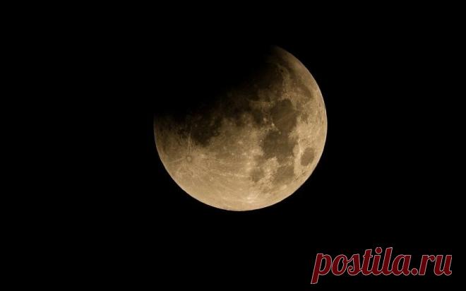 Жители планеты в ноябре увидят частное затмение Луны и пик звездопада Леониды | Читать новостные события за неделю – новости последних событий в мире и России в интернет-издании «Вестник»