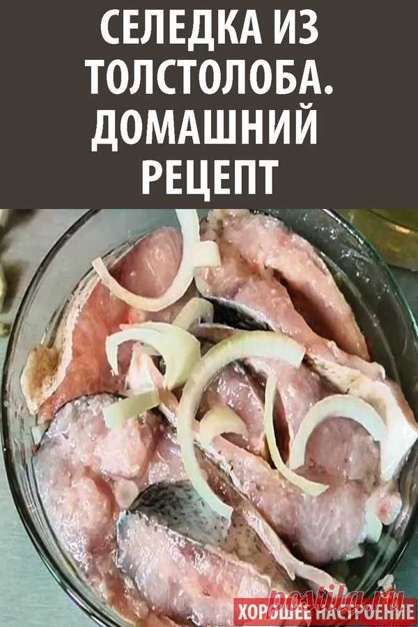 Селедка из толстолоба. Домашний рецепт!