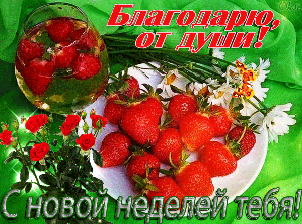 (51) Мой Мир@Mail.Ru