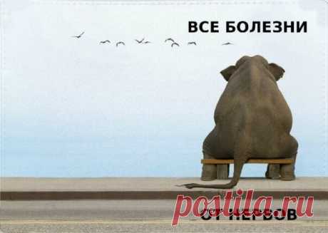 Психосоматика различных процессов в теле                                                                          https://econet.ru/articles/155763-chto-hochet-skazat-telo-s-tochki-zreniya-psihosomatiki