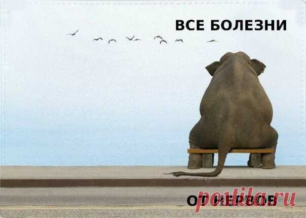 Психосоматика различных процессов в теле                                                                          http://econet.ru/articles/155763-chto-hochet-skazat-telo-s-tochki-zreniya-psihosomatiki