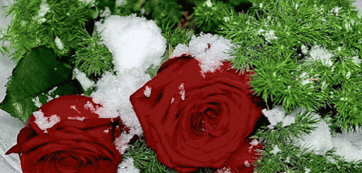 Мой Мир@Mail.Ru