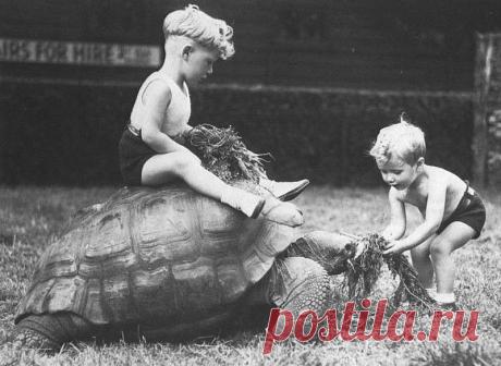 Фотографии, которые поражают, удивляют или восхищают | Современное искусство