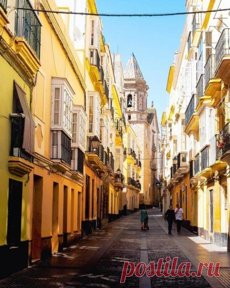 #Кадис@discoverygroup