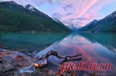 National Geographic Россия | Facebook