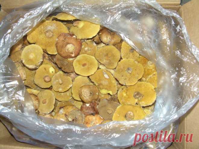 Маслята замороженные маринованные / Простые рецепты
