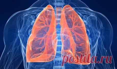 Самый классный способ очистить легкие!

Вот что вам понадобится:

- 1 небольшой кусочек корня имбиря;
- 2 чайные ложки куркумы;
- 1 литр воды;
- 400 г чеснока (очищенного, и порезанного на дольки);
- 400 г сахара (может быть обычным, но в идеале — коричневый).

Что делать:

Нагрейте воду в кастрюле. Когда она закипит, добавьте в нее сахар, чеснок, имбирь и куркумы.
Сахар добавляйте последним.
Варите смесь на медленном огне до тех пор, пока не выкипит половина воды. Потом с...