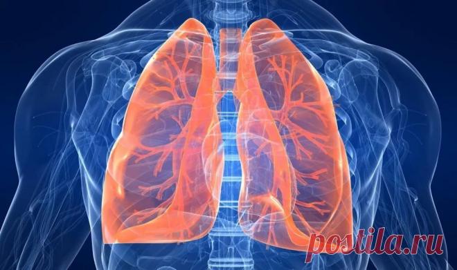 Самый классный способ очистить легкие!

Вот что вам понадобится:

- 1 небольшой кусочек корня имбиря;
- 2 чайные ложки куркумы;
- 1 литр воды;
- 400 г чеснока (очищенного, и порезанного на дольки);
- 400 г сахара (может быть обычным, но в идеале — коричневый).

Что делать:

Нагрейте воду в кастрюле. Когда она закипит, добавьте в нее сахар, чеснок, имбирь и куркумы.
Сахар добавляйте последним.
Варите смесь на медленном огне до тех пор, пока не выкипит половина воды. Потом с...