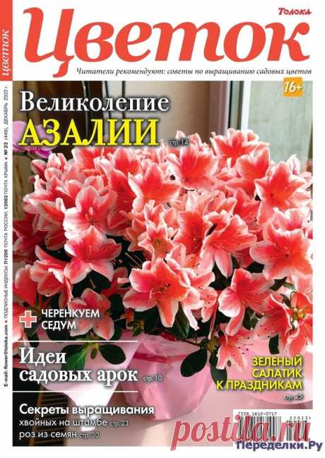 Цветок №23 2022 * Переделки.Ру Цветок №23 2022 Читать журнал ОНЛАЙН