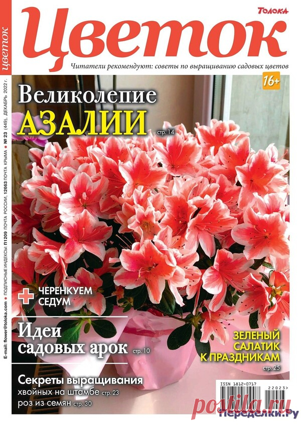 Цветок №23 2022 * Переделки.Ру Цветок №23 2022 Читать журнал ОНЛАЙН