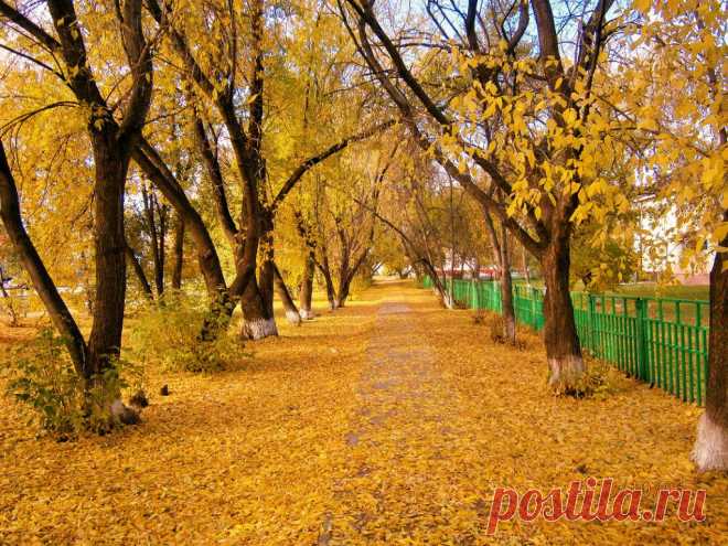 Заводоуковск
Ольга Степанова (Карпова)