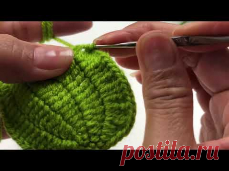 Подсолнух крючком - Листья