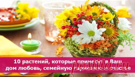 Как привнести в дом любовь и счастье