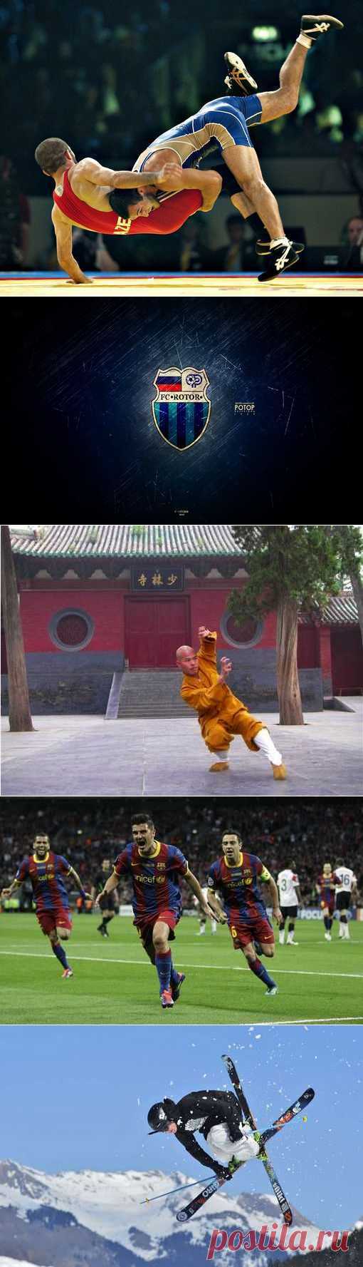 Сумо, Лапта русская, Корпоративный спорт, Плавание. (1/1) - Спортивный форум. - Спортивный сайт