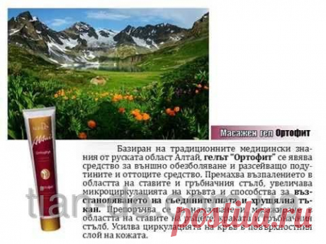 Массажный гель с желчью медицинской «Ортофит» купить за 126 грн в Запорожье - TianDe