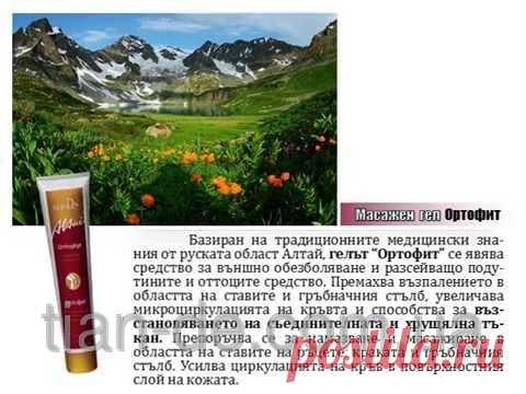 Массажный гель с желчью медицинской «Ортофит» купить за 126 грн в Запорожье - TianDe