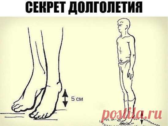 Секрет долголетия 
Академик Микулин создал гимнастику, состоящую из простейших упражнений, своеобразных сотрясений — ударах пятками о пол. Эта методика позволяет улучшить кровоток, предотвратить закупорку вен и нормализовать давление. Также улучшается работа мозга: от тяжести и боли в голове не остается и следа. 
Встань прямо, стопы соедини, зубы сожми. Приподними пятки на 3–5 см от пола, затем резко опустись. В результате возникшего встряхивания венозные клапаны получают дополнительный импуль