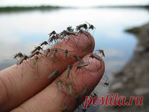 (25) Одноклассники