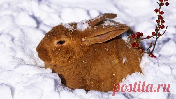 КРАСОТЫ ПРИРОДЫ