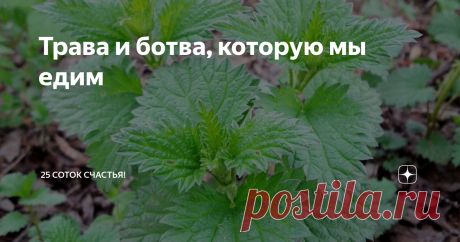 Трава и ботва, которую мы едим Есть или не есть — это личное дело каждого. Кто-то капслоком кричит в комментариях, что это заговор, что нас приучают к поеданию травы, что статьи проплачены и т.д. А мы всегда ели и будем есть этот "кроличий корм". Еды хватает, ее всегда можно купить в магазине, деньги есть, поэтому называть причиной поедания ботвы голод не стоит. Но об этом все равно кто-то напишет в комментариях. :) А мы едим