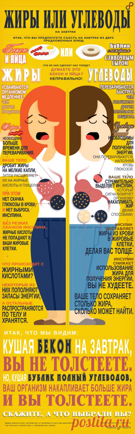 ИНФОГРАФИКА: Жиры или углеводы? - Лайфхакер