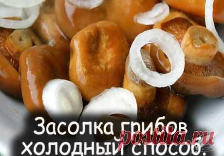Засолка грибов - холодный способ.

грибы (рыжики, черные и белые грузди, волнушки, сыроежки) - 1 кг
соль - 100 г
смородина - 10–12 листьев
Показать полностью…