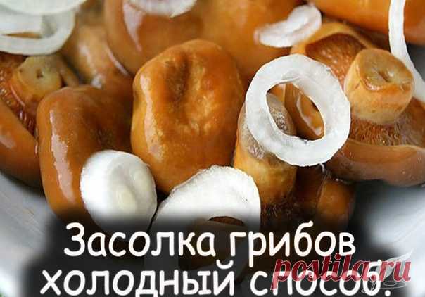 Засолка грибов - холодный способ. 

грибы (рыжики, черные и белые грузди, волнушки, сыроежки) - 1 кг 
соль - 100 г 
смородина - 10–12 листьев 
Показать полностью…