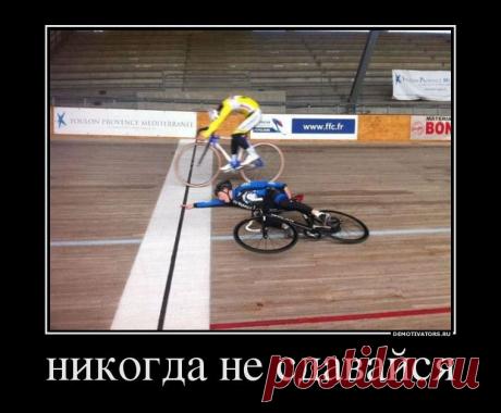 Весёлые и внезапные оГИФительные картинки для хорошего настроения (20 фото)