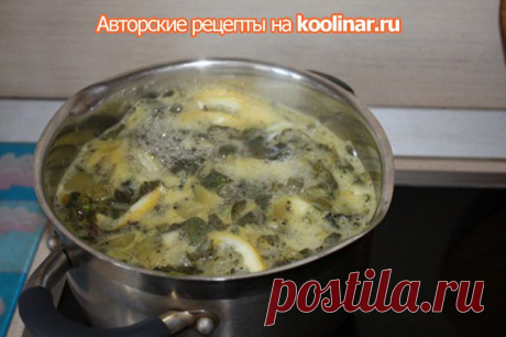 Освежающий мятный напиток с лимоном и киви. Кулинар.ру – более 99 000 рецептов с фотографиями. Форум.