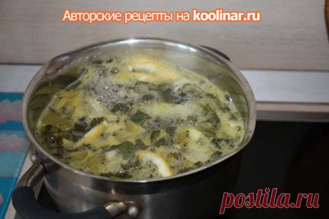 Освежающий мятный напиток с лимоном и киви. Кулинар.ру – более 99 000 рецептов с фотографиями. Форум.