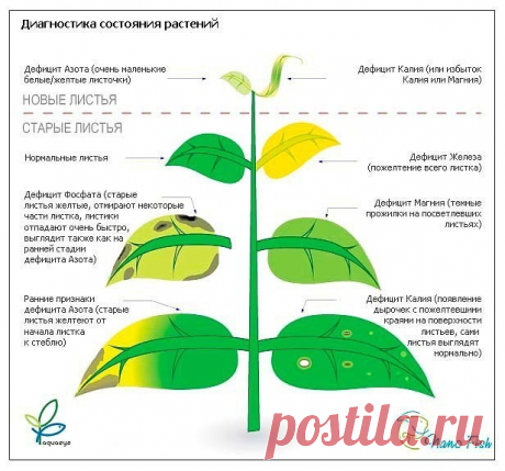 Одноклассники
