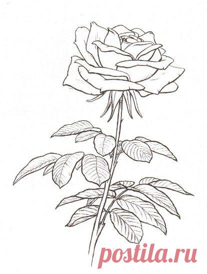 Фотографии на стене сообщества | 32 963 фотографии | ВКонтакте