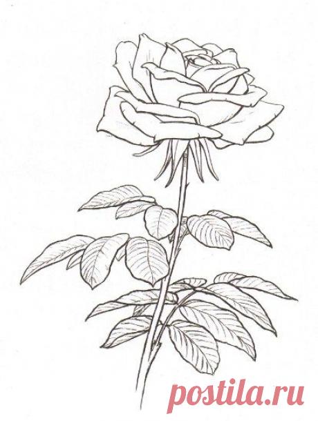 Фотографии на стене сообщества | 32 963 фотографии | ВКонтакте