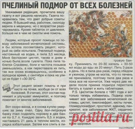 Если в старину врачи-знахари лечили прополисом только раны и язвы, то в настоящее время врачи, вооруженные знанием, лабораториями и средствами анализа и синтеза, выявили диапазон его лечебных свойств и действий.
Прополисом лечат все накожные заболевания, простые раны и раны долгонезаживающие, язвы накожные, язвы желудка и двенадцатиперстной кишки, гинекологические заболевания воспалительного характера, геморрой, насморк, грипп, невриты, радикулиты.
 Сочетание прополиса и м...