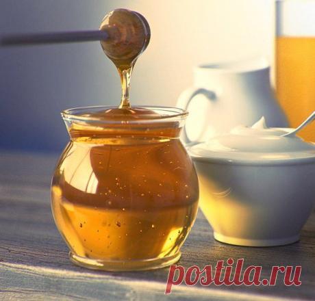 Лечение изжоги медом.