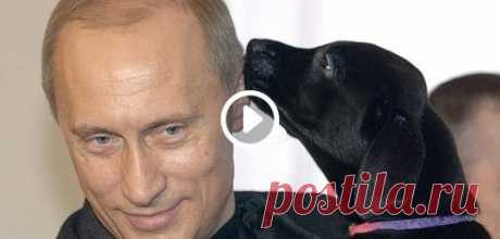 Мой Мир@Mail.Ru