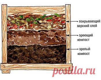 Компост на участке, как вылечить компостную кучу