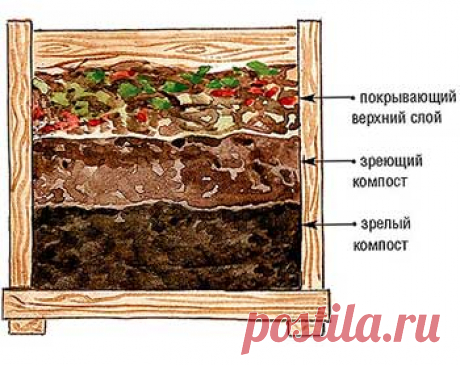 Компост на участке, как вылечить компостную кучу