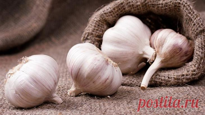 Вырежьте и сохраните: топ-10 самых полезных продуктов